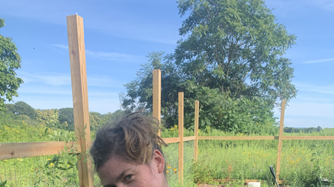 Image: Community Seed Week at Talbott & Arding