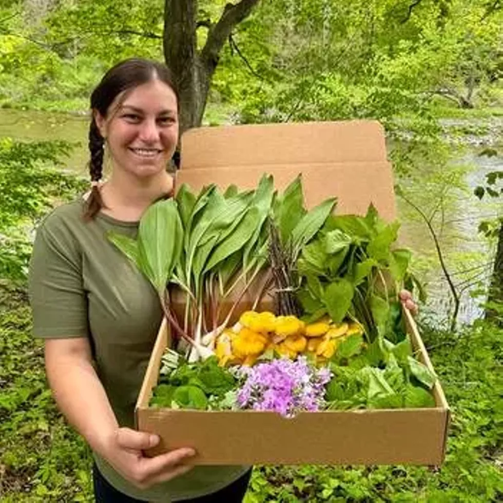 anna-wild-harvest-box.webp