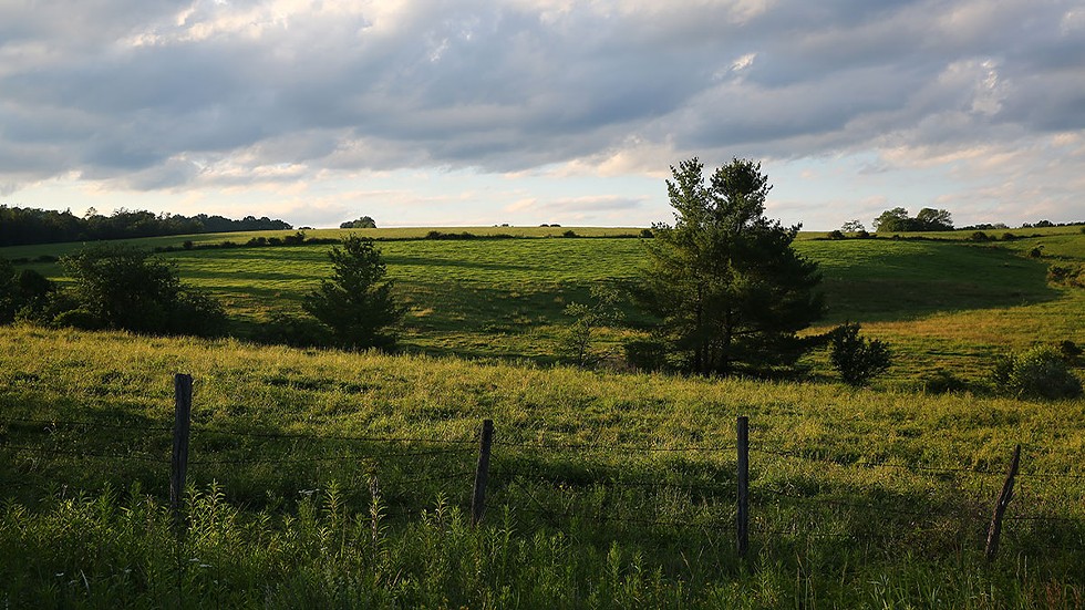 scenic-farm-field---agriculture---meadow---summer---with-fence.jpg