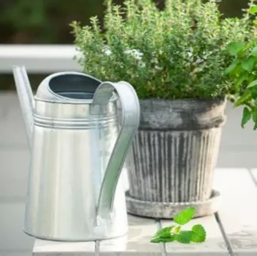 herbs_sq.webp