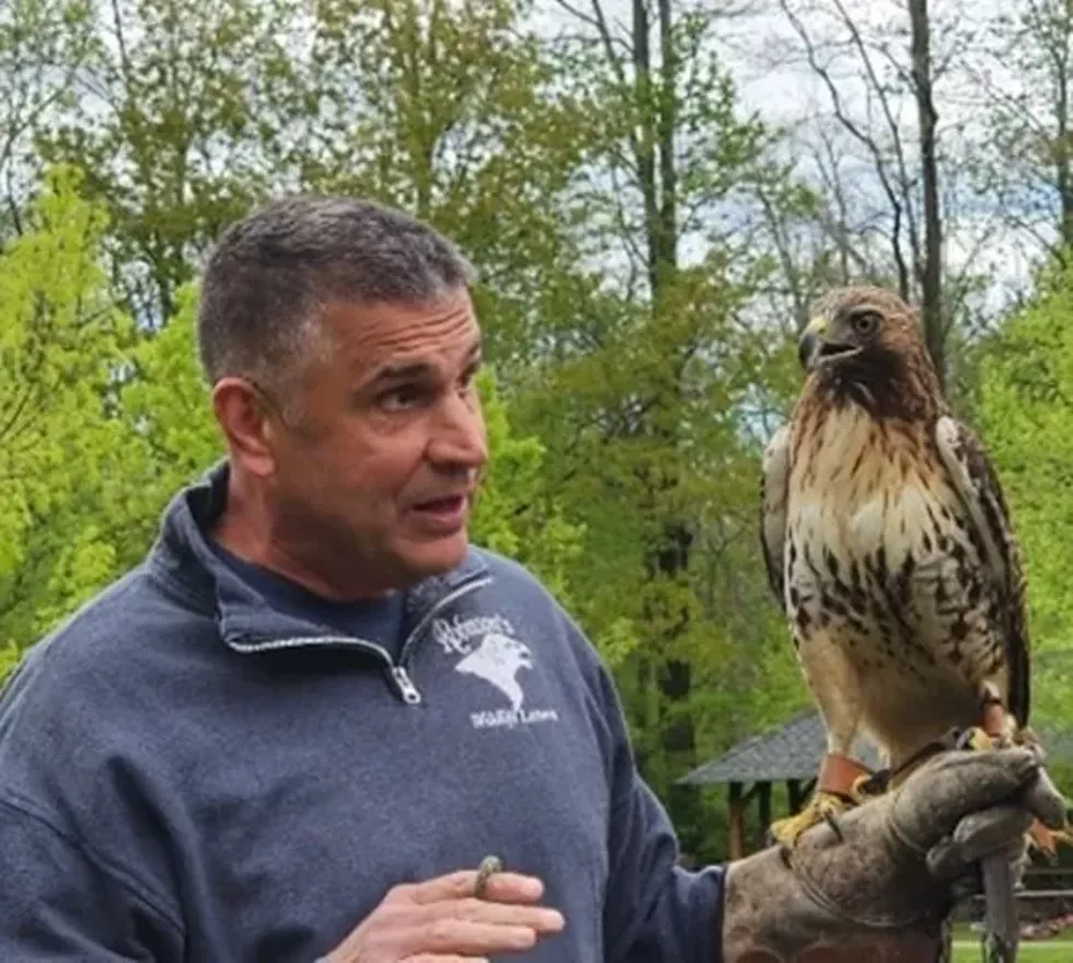 copake-community_day.webp
