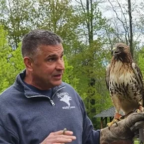 Image: Copake Falls Day| Town Event