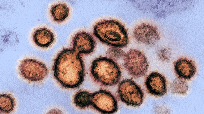 Coronavirus Roundup: New York Confirms First South African Variant Case