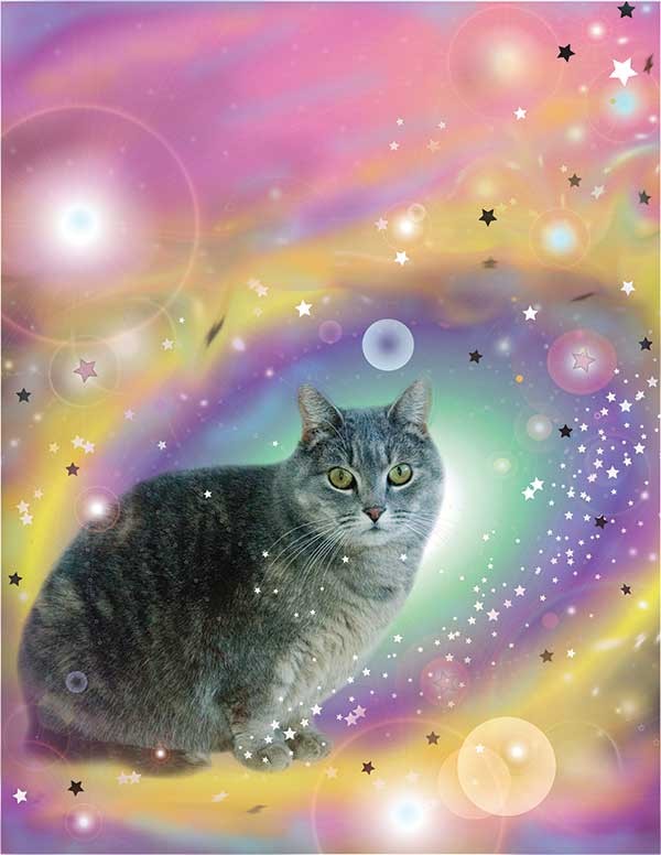 Cosmic Chrono Cat, Becky Todd, Digital Construction, 2013. Cover design by Jaclyn Murray.