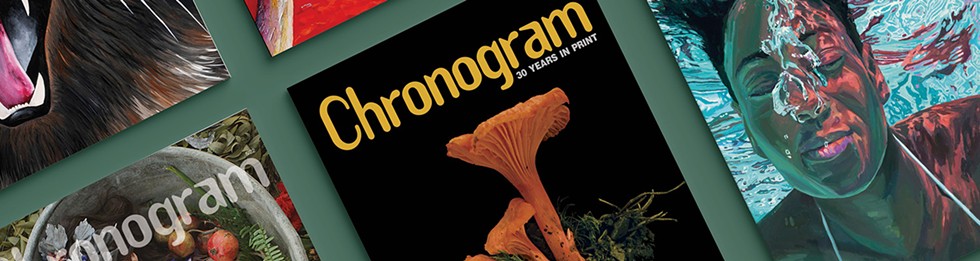 Cover Story: 30 Years of Chronogram