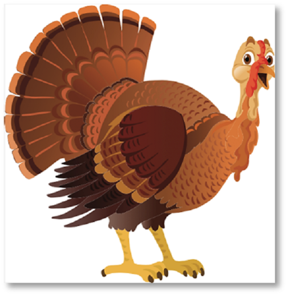 bird-turkey.png