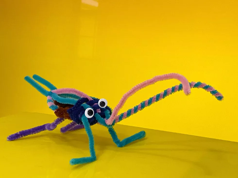 kinokids_october_really_silly_bug.webp