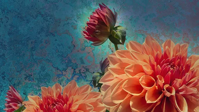 Image: Dahlia Festival and Homegrown Dahlia Contest