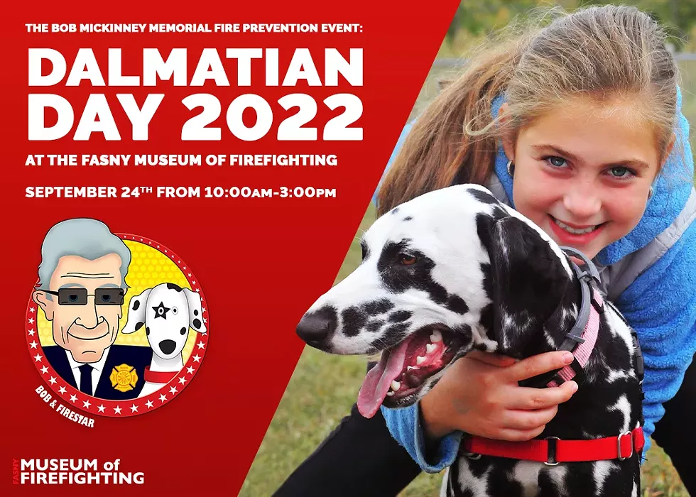Dalmatian Day 2022