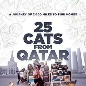 Image: Darn Good Docs &ndash; 25 Cats from Qatar
