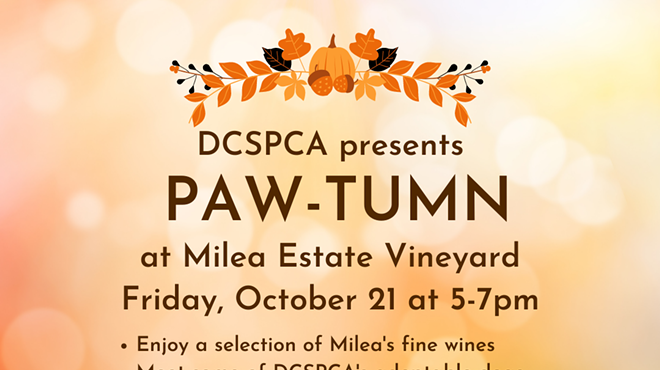 DCSPCA Presents PAW-tumn at Milea Estate Vineyard