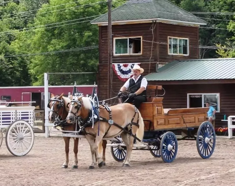The 136th annual Delaware County Fair runs Aug. 14-19 in Walton.