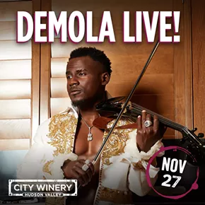 Image: DEMOLA LIVE!