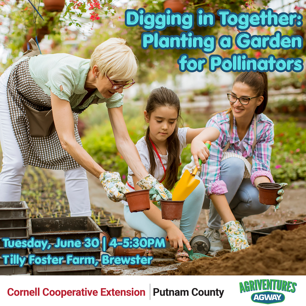 Join CCE Putnam and Agriventures Agway for a gardening workshop