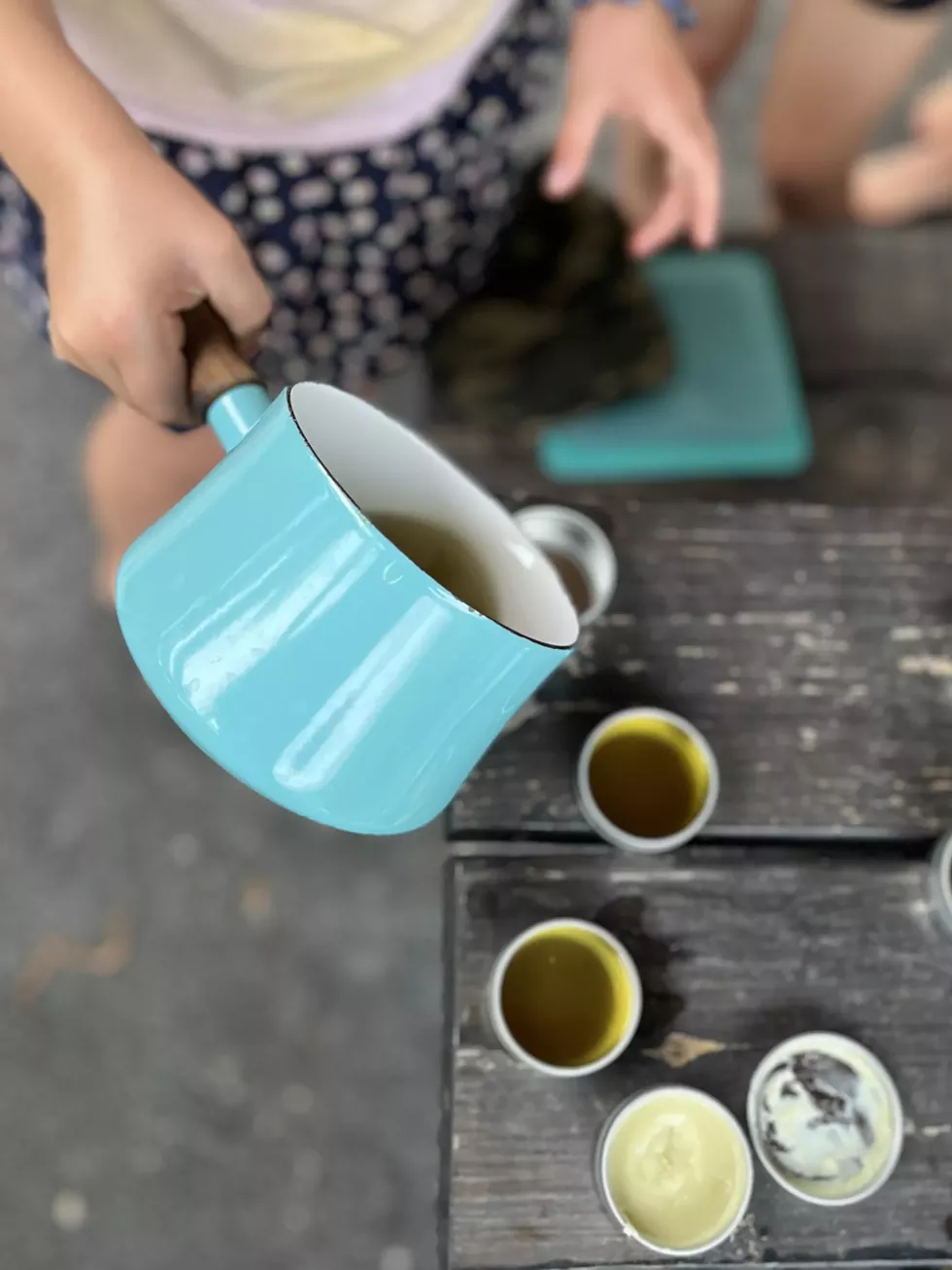 Make your own Herbal Skin Care Lotion