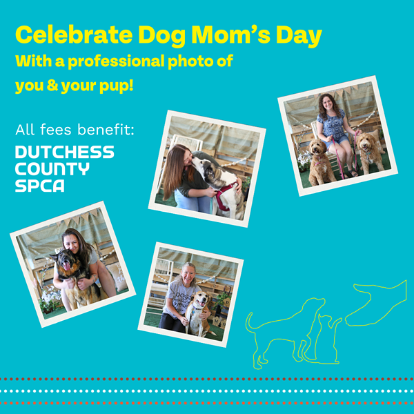 Dog Mom's Day - Professional Photo of You & Your Pup