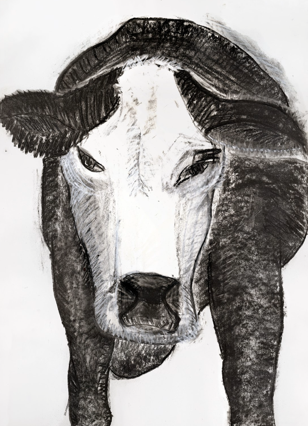 "Angry Mom Cow" c2013, graphite on paper (Deborah Masters)