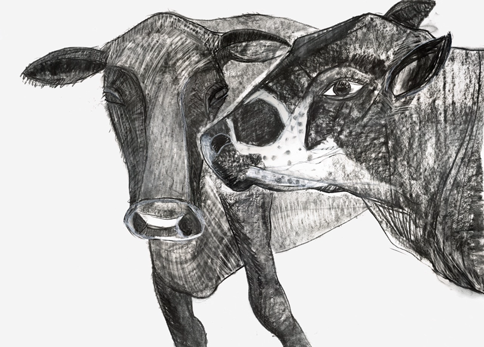 "Talking Cows" (Deborah Masters)