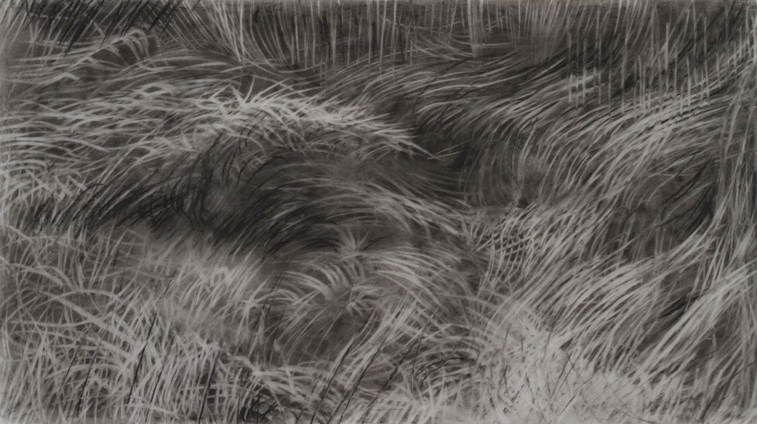Douglas Wirls, Terrain (study) 5, charcoal on drafting film, 5 x 8 inches