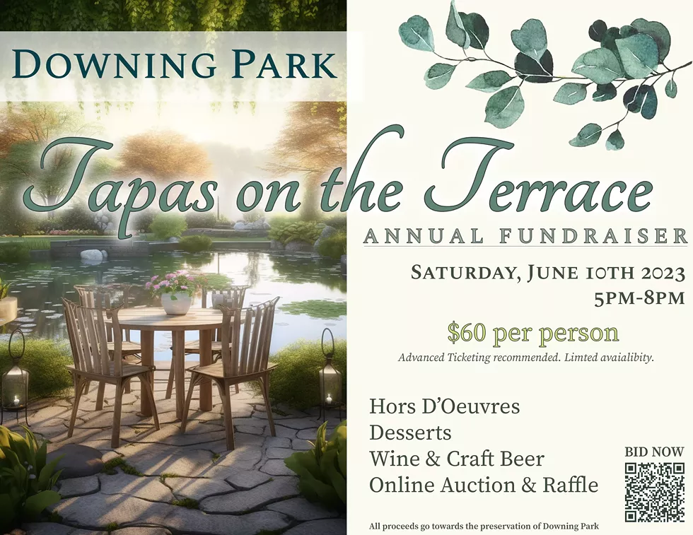 Downing Park 2023 Fundraiser in the Park