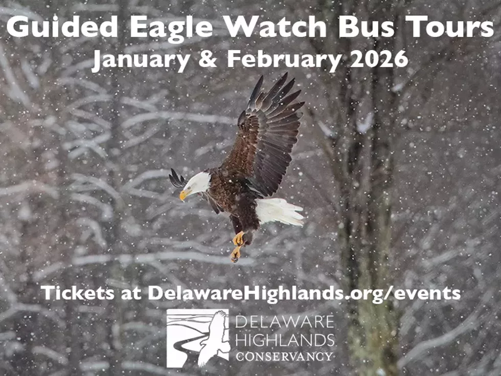 eagle-bus-tours-promo.webp