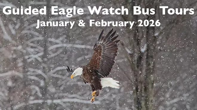 Image: Eagle Watch Bus Tour