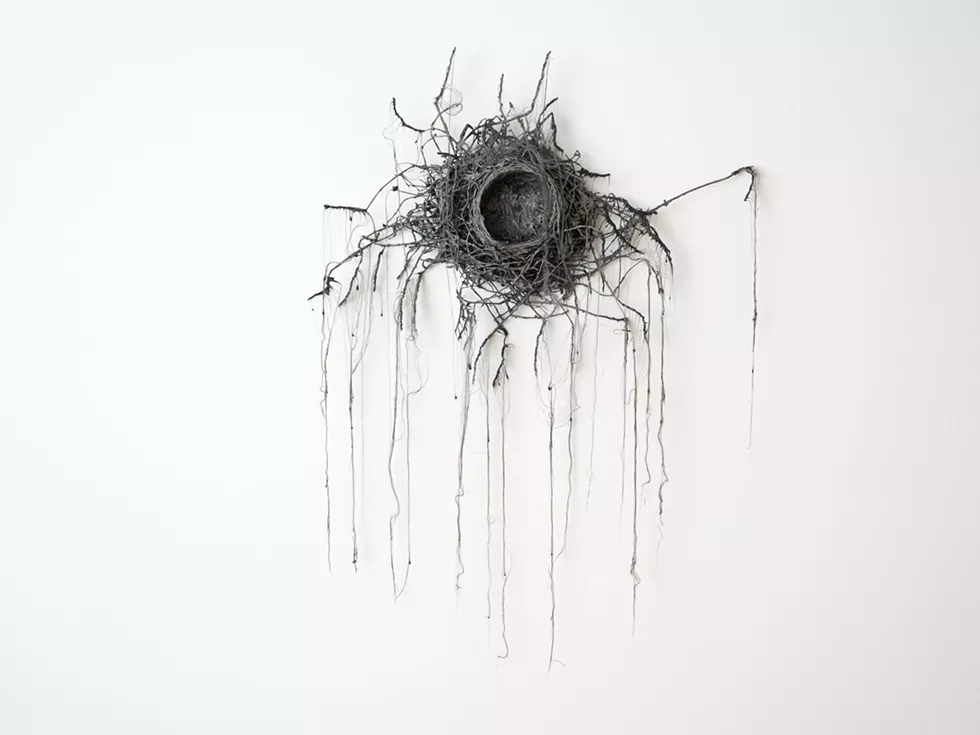 Daniella Dooling, "Fire Nest" (2024)