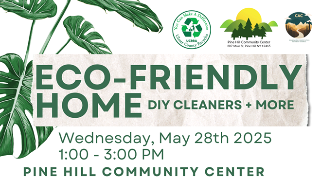 Image: Eco-Friendly Home