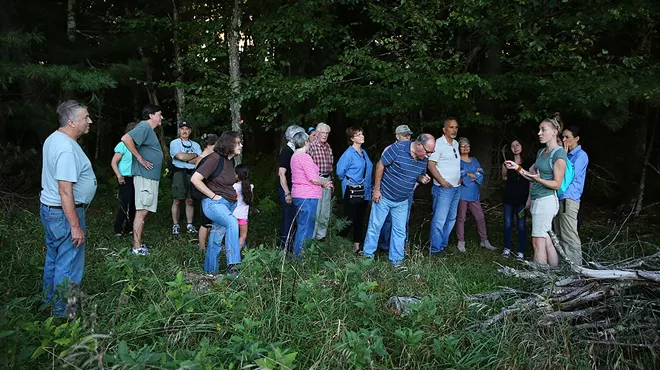 Image: Edible and Medicinal Plant Walk with The Botanical Hiker