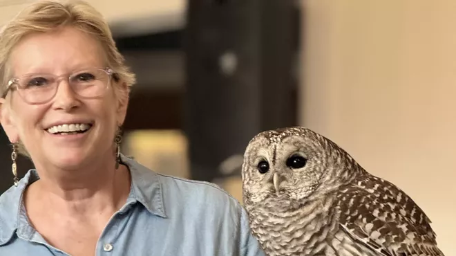 Image: Ellen J. Kalish, Director Ravensbeard Wildlife Rehabilitation Center is back for another Community Week Discussion and Meet & Greet with Live Birds of Prey.