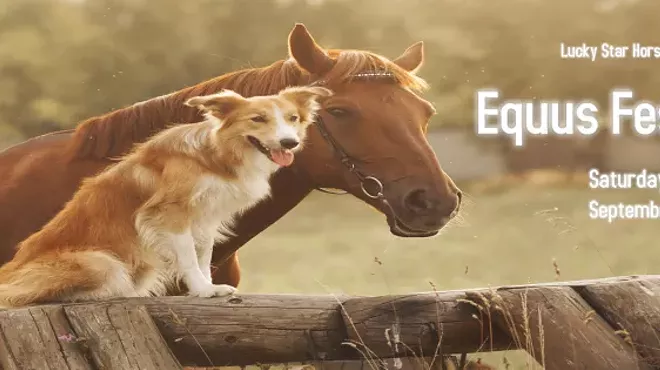Image: Equus Fest East -A Celebration of All Things Horse and Rural Lifestyle