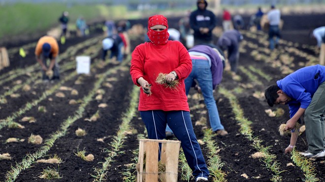 Essential, Invisible, Ineligible: Food and Farm Workers Wait for Vaccine