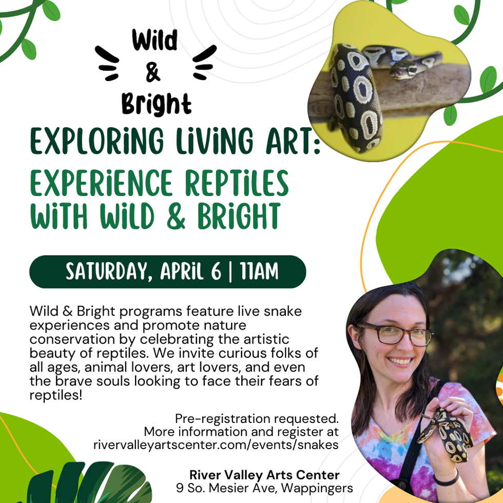 wildbright-3-1024x1024-2.png