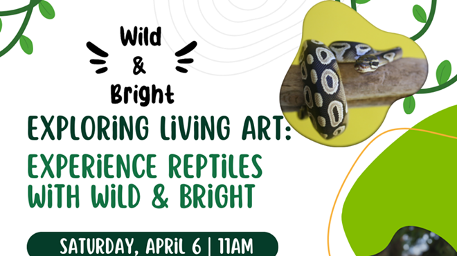 Image: EXPLORING LIVING ART: EXPERIENCE REPTILES WITH WILD & BRIGHT