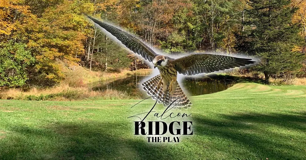 falcon_ridge.webp