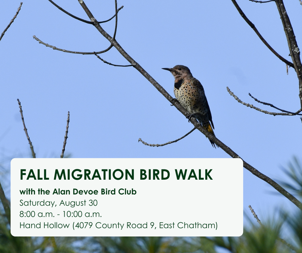 event_post_spring_migration_birding_walk.png