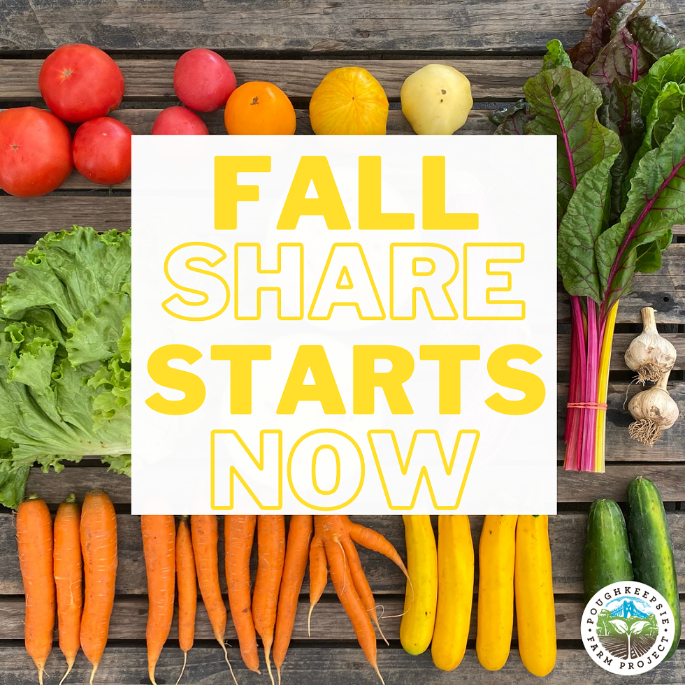 Fall Share Starts Now - join the CSA!