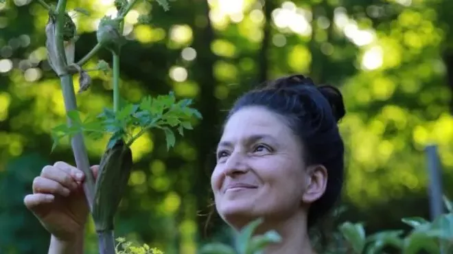 Image: Fall Wild Harvest: Sharing Mother Nature&rsquo;s Bounty Edible & Medicinal Plant Walk with Dina Falconi