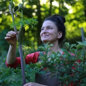 Image: Fall Wild Harvest: Sharing Mother Nature&rsquo;s Bounty Edible & Medicinal Plant Walk with Dina Falconi