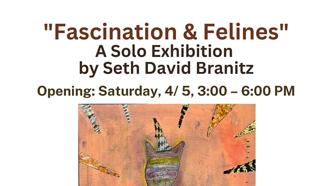Image: Fascination & Felines