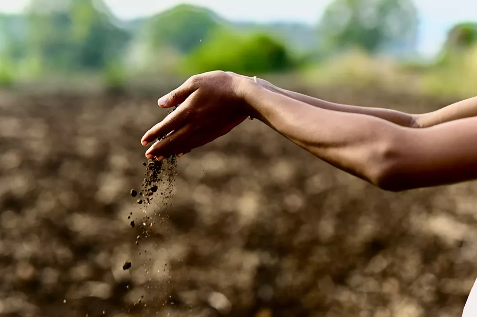 hands_in_soil.webp