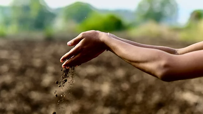 Image: Feeding the Earth-Body: Fermentation and Soil Regeneration