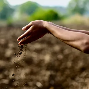 Image: Feeding the Earth-Body: Fermentation and Soil Regeneration