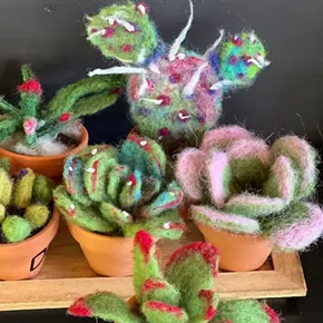Image: Felting Succulents
