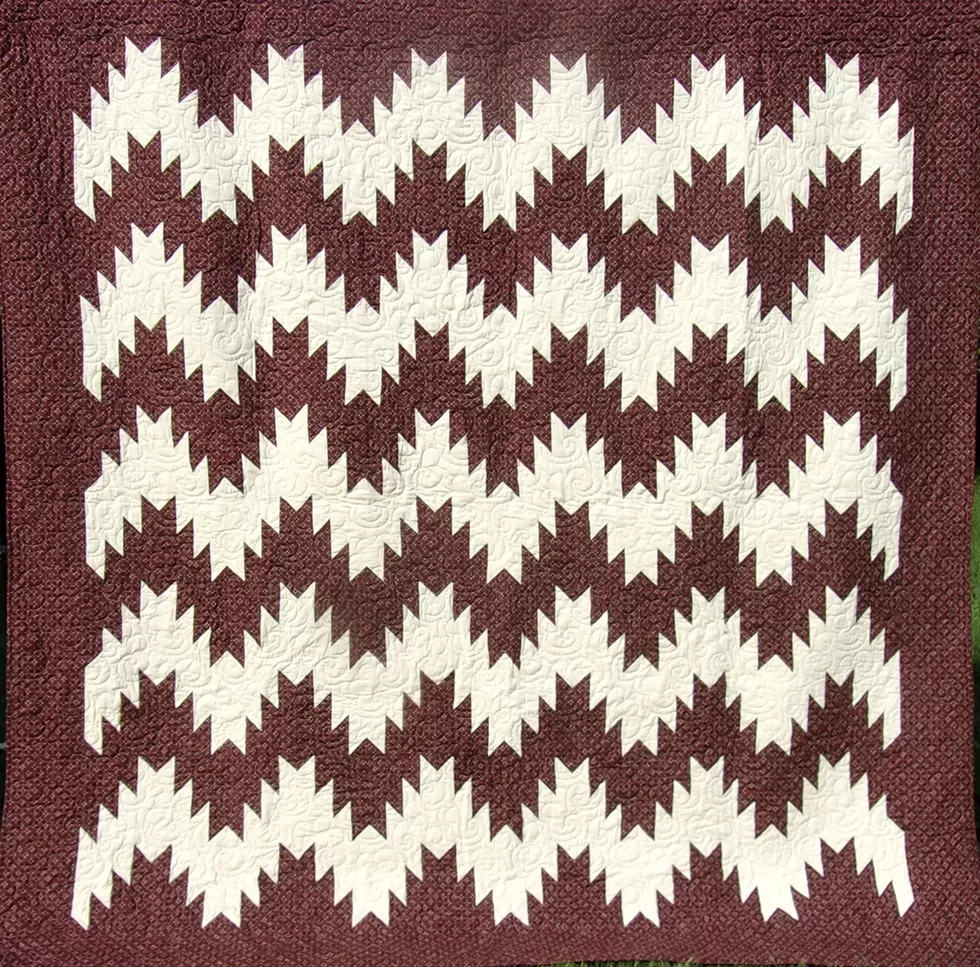 Majestic Mountains Raffle Quilt
