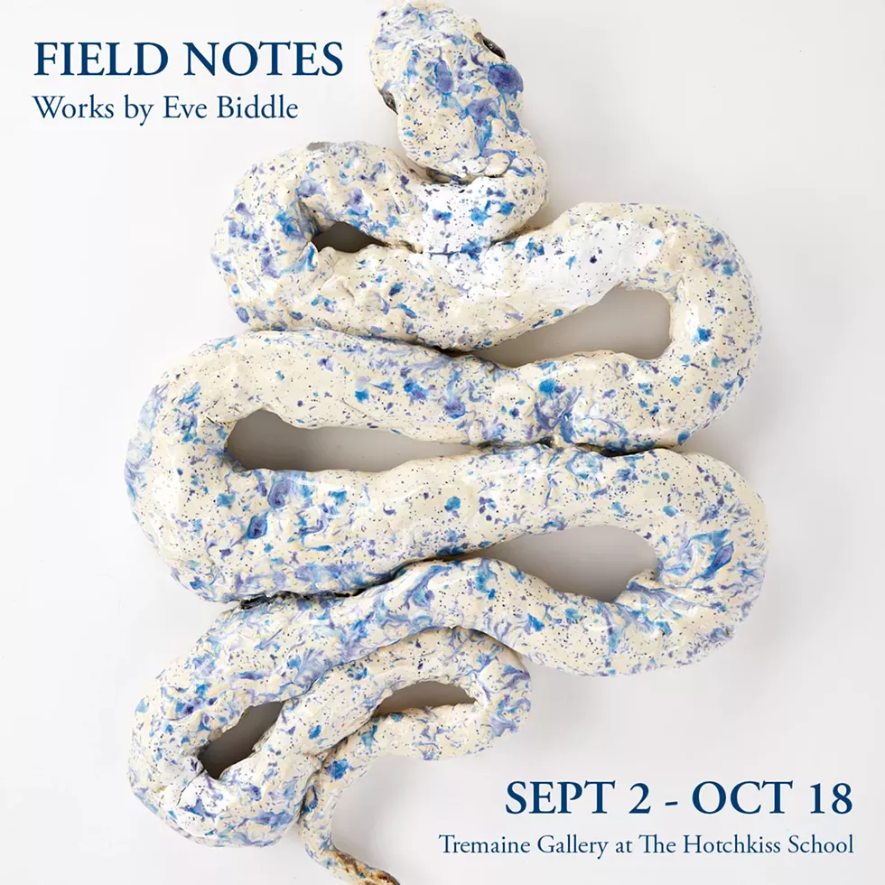 "Field Notes" by Eve Biddle