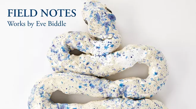 Image: "Field Notes" Works by Eve Biddle