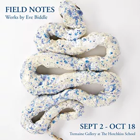 Image: "Field Notes" Works by Eve Biddle