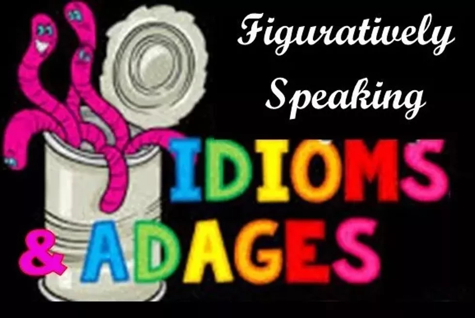 idioms-and-adages-2023-cropped-.webp