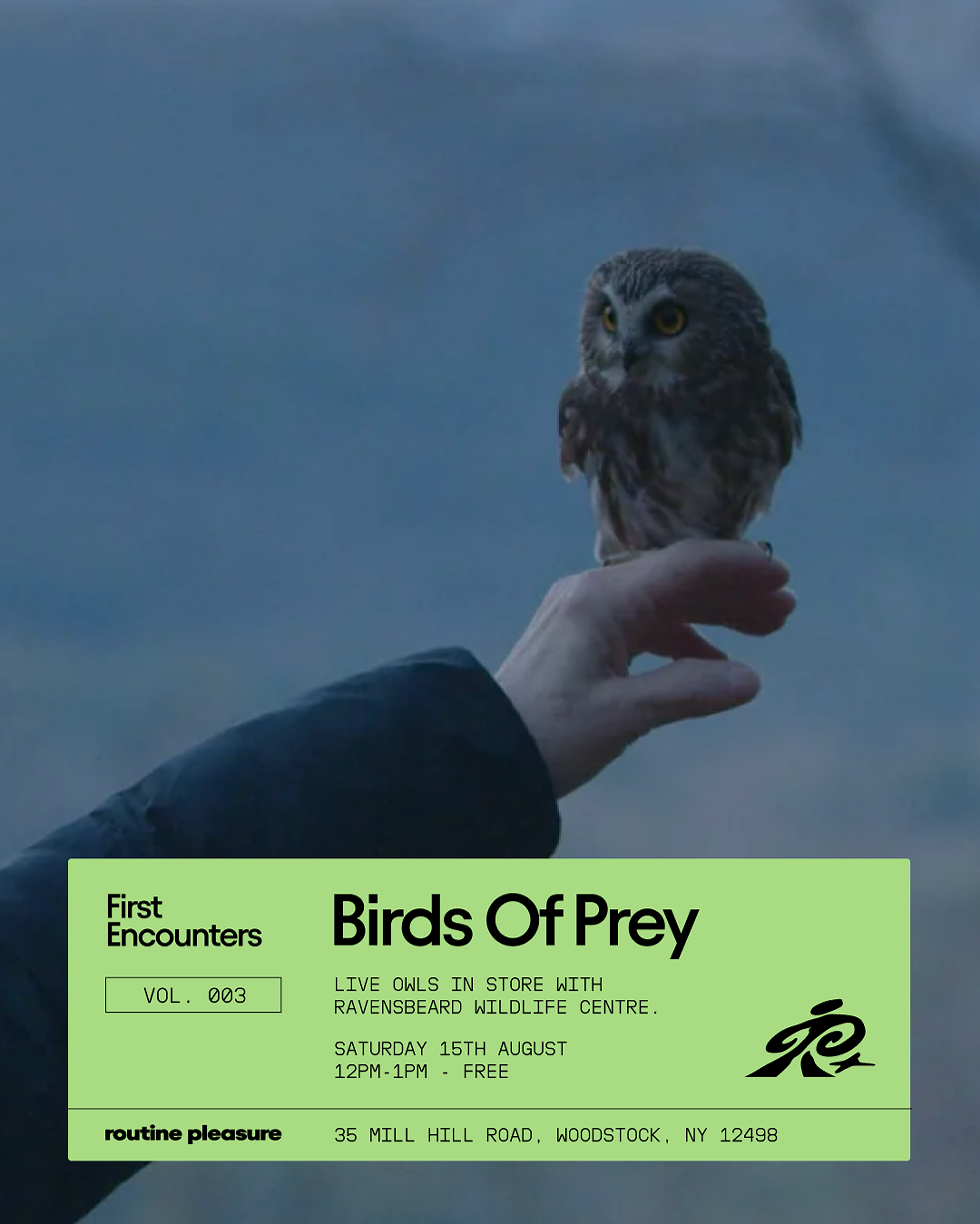 first_encounters_with_birds_of_prey.png